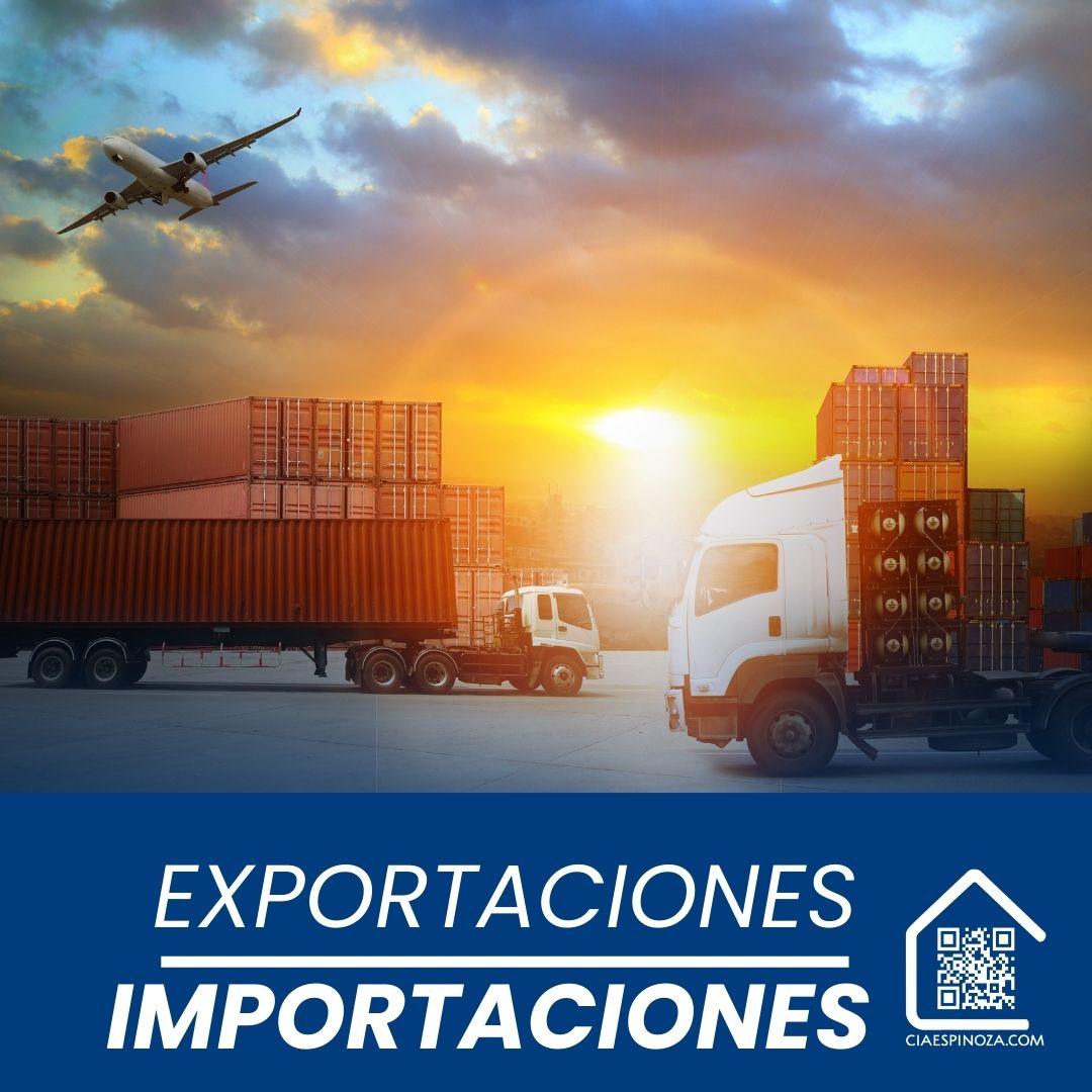 Membresia Anual de Importador Esencial - Ciaespinoza.com