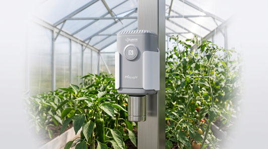Sensor Industrial LoRaWAN para Monitoreo de CO2, Temperatura, Humedad y Presión / Batería 10 Años / IP67 / para BMS y Edificios Inteligentes