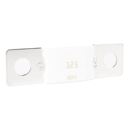 Mega Fuse 125A / 80V