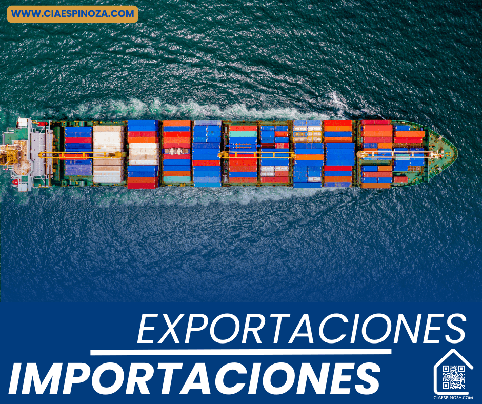 Membresia Anual de Importador Esencial - Ciaespinoza.com