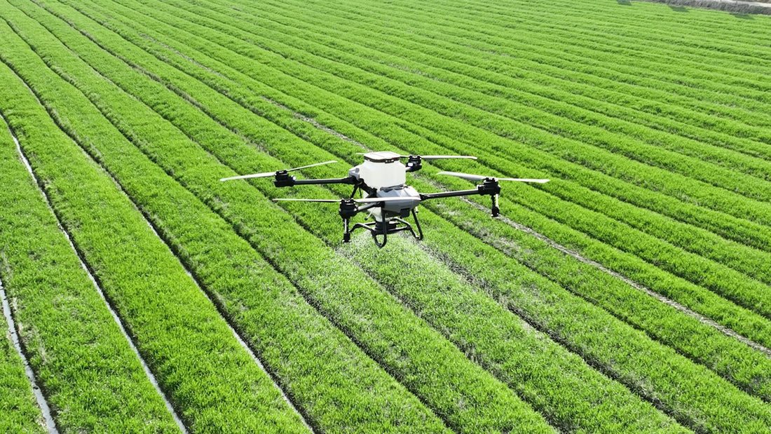 Dron agrícola rocía un campo de cultivo en hileras