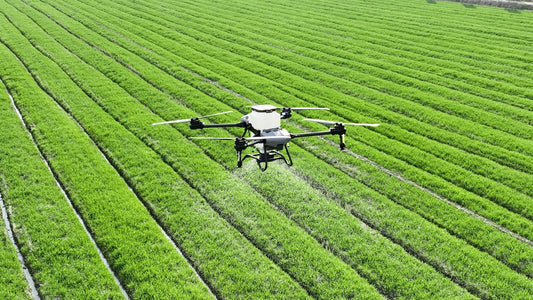 Dron agrícola rocía un campo de cultivo en hileras