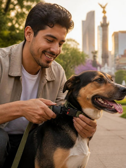 Hombre abrochando la hebilla de plástico en el collar de su perro en un parque de la Ciudad de México