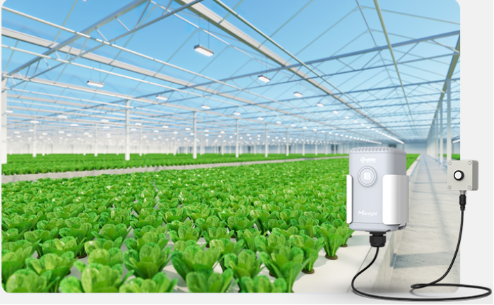 Sensor Inteligente de Iluminación LoRaWAN / Monitoreo de Luz Ambiental / IP67 / Batería 10 Años / para Automatización (BMS)