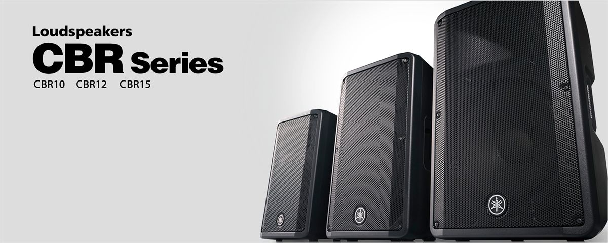 Altavoz de Montaje en Superficie de 2 vias | Woofer 15'' | 8ohms | Color Negro | 500W