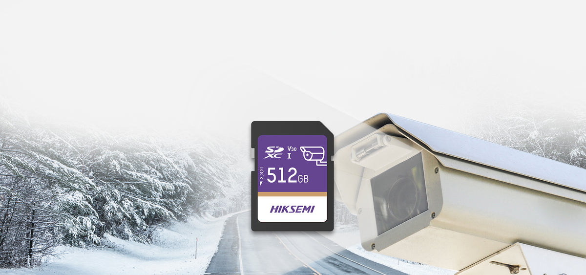 Tarjeta SD GuardPro P10 / 256 GB / 100 MB/s Lectura / 90 MB/s Escritura / Clase 10 U3 V30 / 3D TLC NAND / Especializada Para Videovigilancia 24/7