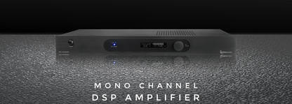 Amplificador De Subwoofer | Monocanal | Dsp Integrado | 500w | 4-8ohms | Recomendado Para Subwoofers TruAudio