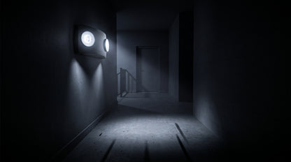 Luz de Emergencia SF660LB / 2W LED / 150 lm / 90 min Autonomía / Batería Ni-Cd / 127-240 VAC / UL 5VA / Negro