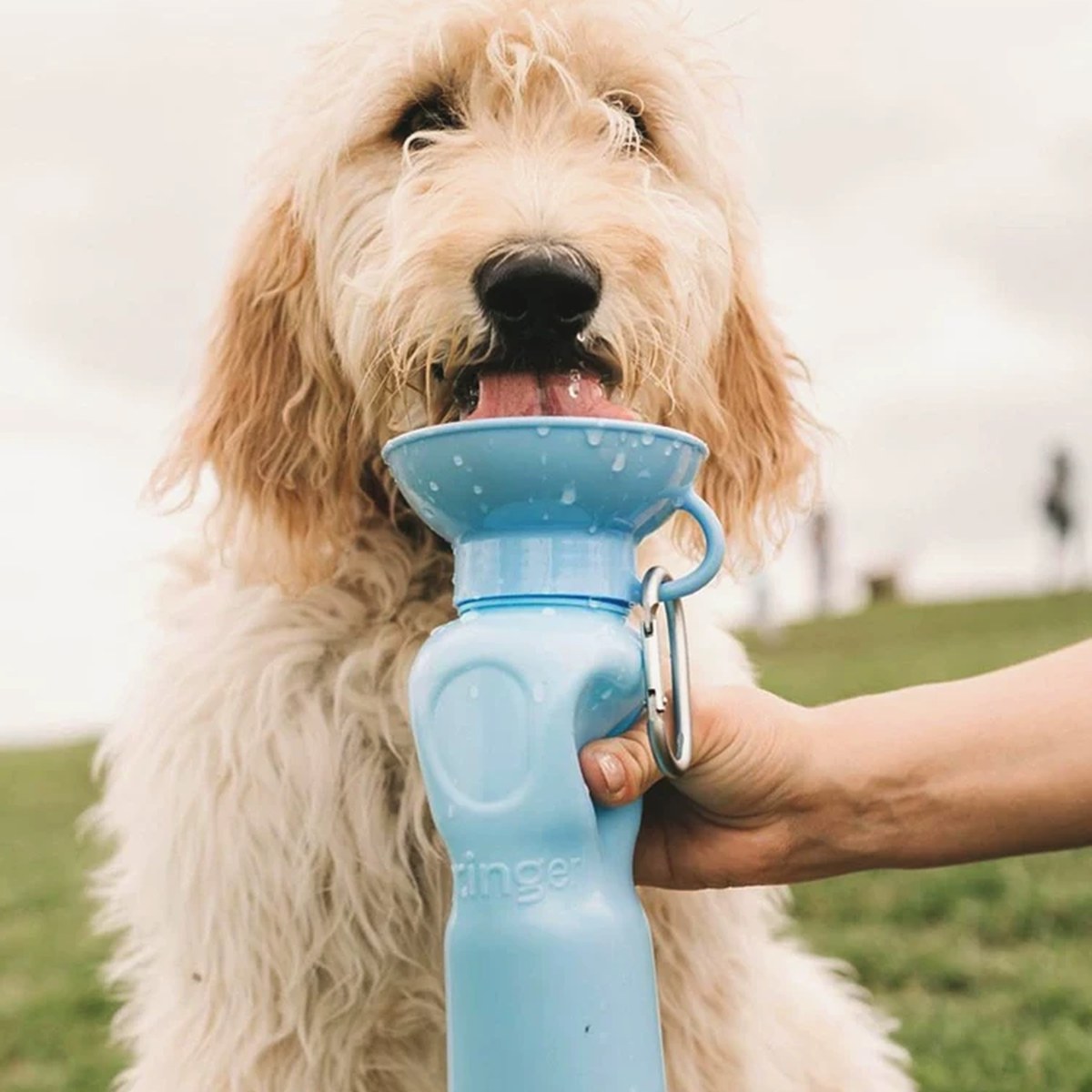 Botella de agua portátil Springer para pasear a tu perro (450 a 1300 ml)