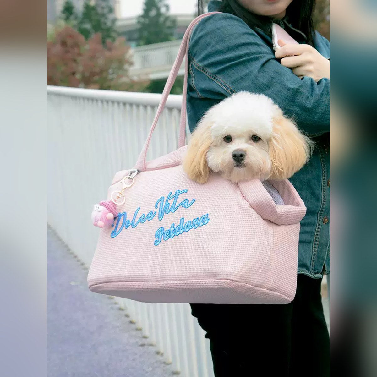 Bolso de hombro bordado Petdora para perro o gato pequeño (hasta 5 kg)