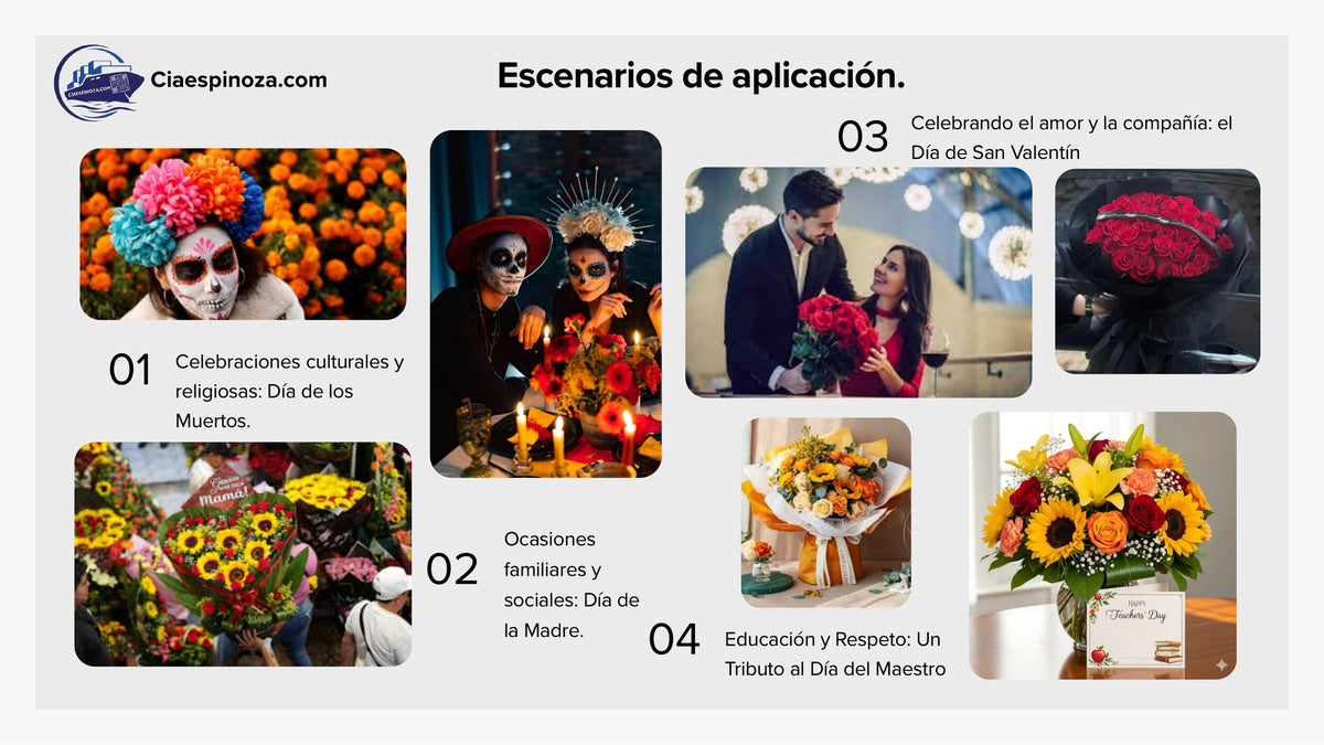 Escenarios de aplicación de la expendedora de flores FlowerBot