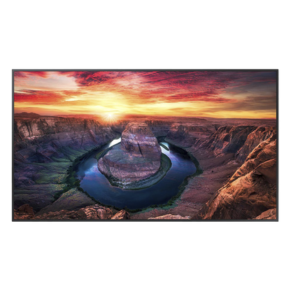 Pantalla Profesional LED de 55" para marketing digital / UHD 4K (3840x2160p) / Entradas de Video HDMI / uso 24/7 / Compatible VESA 200x200