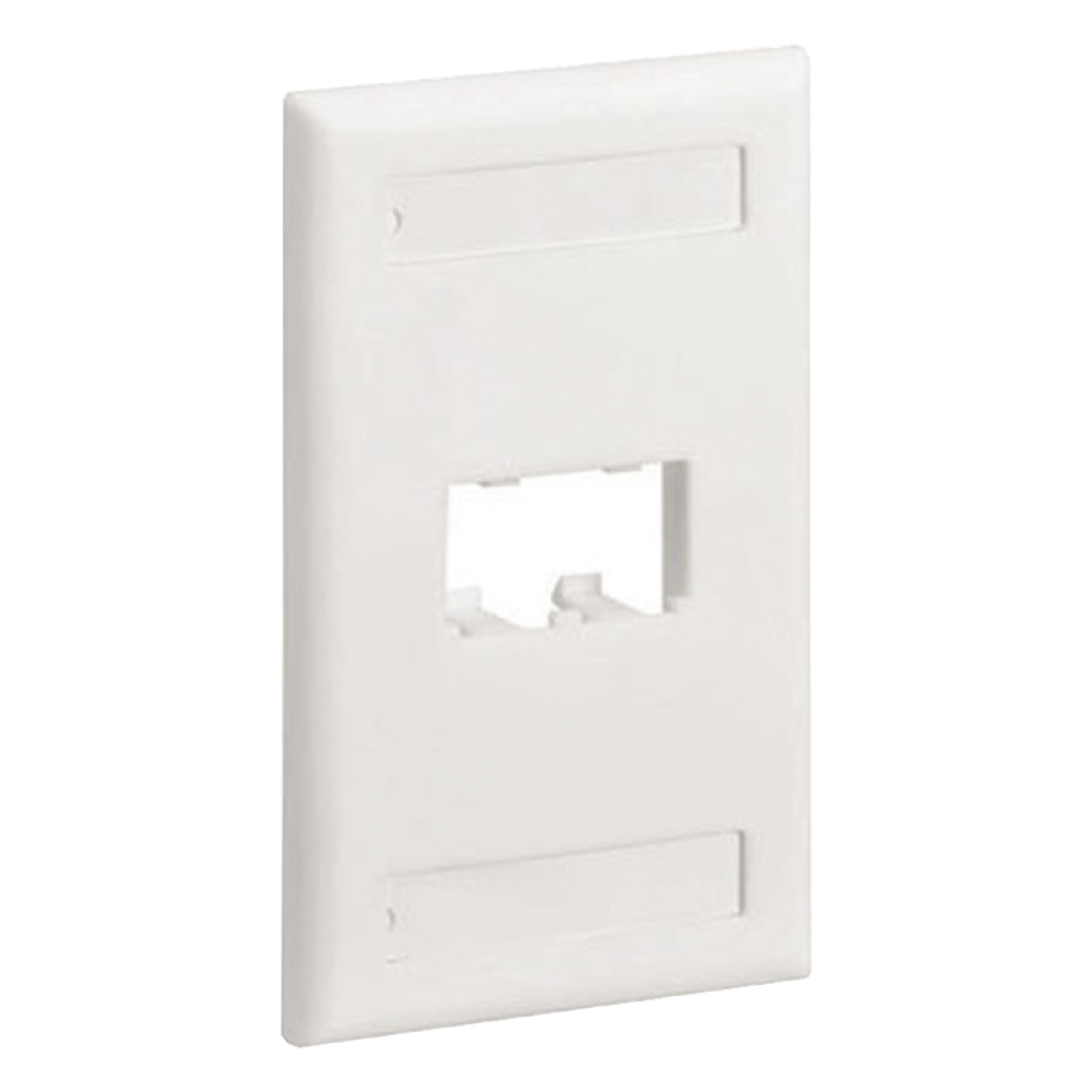 Placa de Pared Vertical Clásica, Salida Para 2 Puertos Mini-Com, Con Espacios Para Etiquetas, Color Blanco Mate