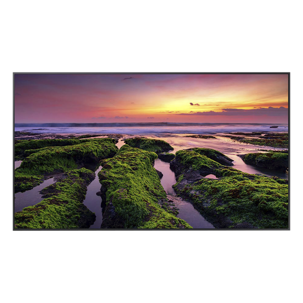 Pantalla Profesional LED de 65" para marketing digital / UHD 4K (3840x2160p) / Entradas de Video HDMI / uso 16/7 / Compatible VESA 400x300