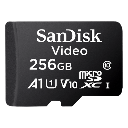 Memoria microSD SanDisk 256GB / Alta Resistencia / Videovigilancia / Clase 10