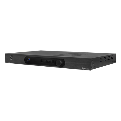 Amplificador De Subwoofer | Monocanal | Dsp Integrado | 500w | 4-8ohms | Recomendado Para Subwoofers TruAudio
