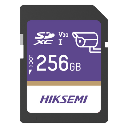 Tarjeta SD GuardPro P10 / 256 GB / 100 MB/s Lectura / 90 MB/s Escritura / Clase 10 U3 V30 / 3D TLC NAND / Especializada Para Videovigilancia 24/7