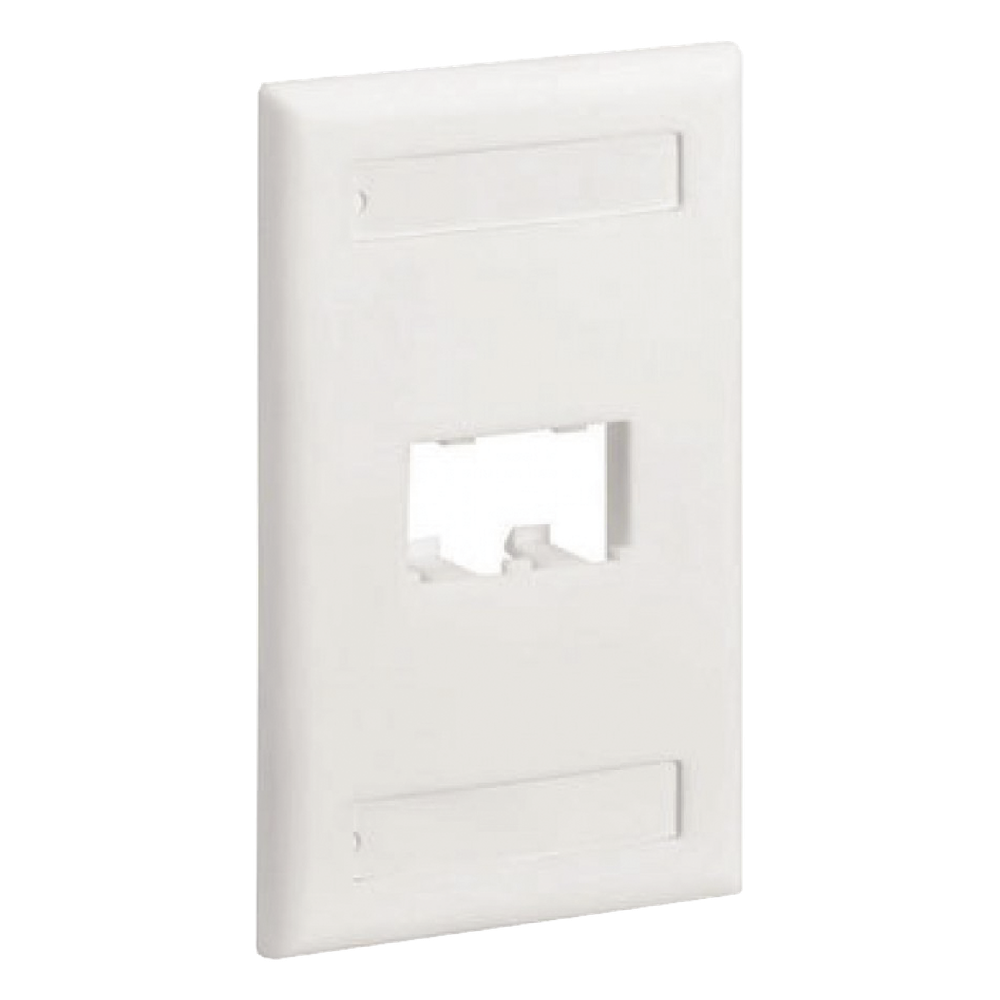 Placa de Pared Vertical Clásica, Salida Para 2 Puertos Mini-Com, Con Espacios Para Etiquetas, Color Blanco
