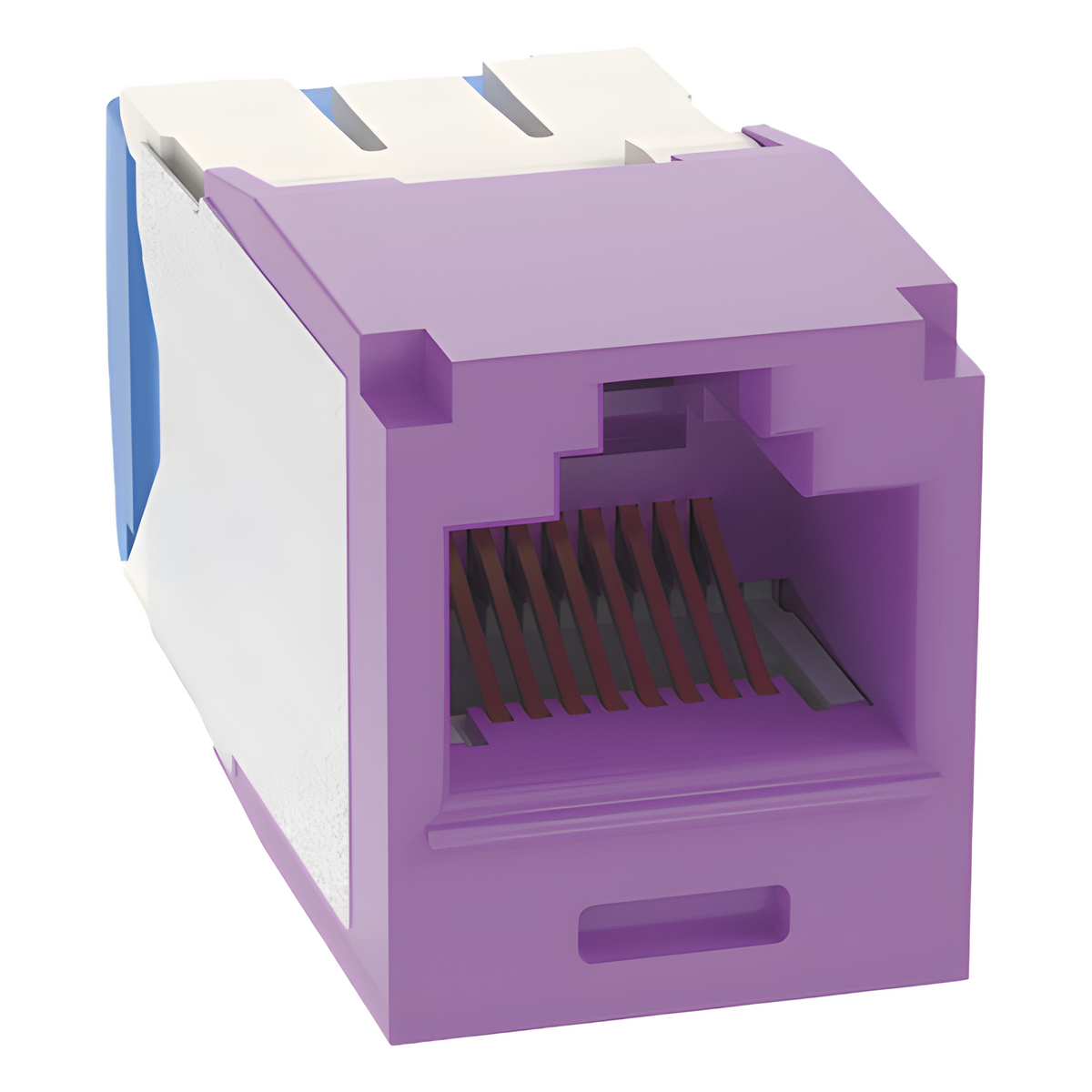 Conector Jack RJ45 Estilo TG, Mini-Com, Categoría 6A, de 8 Posiciones y 8 Cables, Color Violeta