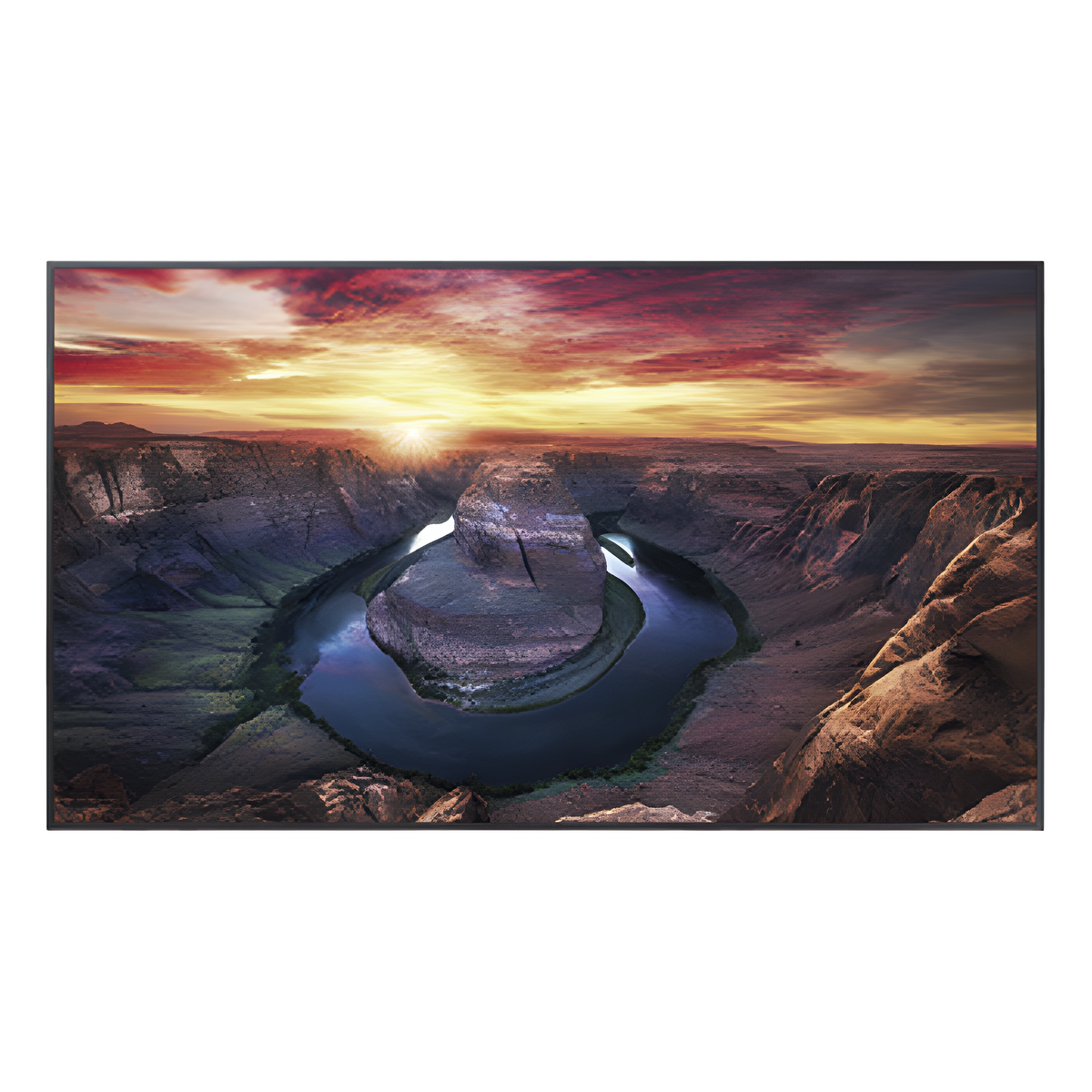 Pantalla Profesional LED de 50", UHD 4K (3840x2160p), Entradas de Video HDMI/DisplayPort / USO 24/7 / Compatible VESA / Compatible con software