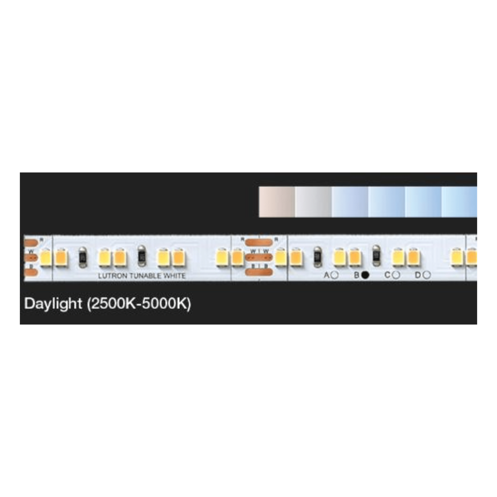 Cinta LED Lumaris de luz de día ajustable (2500K-5000K), carrete de 5 m, 24 V, compatible con RadioRA 3 y HomeWorks QSX