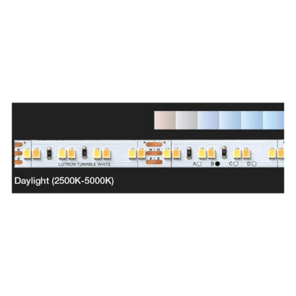 Cinta LED Lumaris de luz de día ajustable (2500K-5000K), carrete de 5 m, 24 V, compatible con RadioRA 3 y HomeWorks QSX