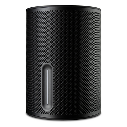SerieSX Altavoz Activo | Certificado Dolby DTS | Native Streaming™ | Wireless Syncs 5.1 System |