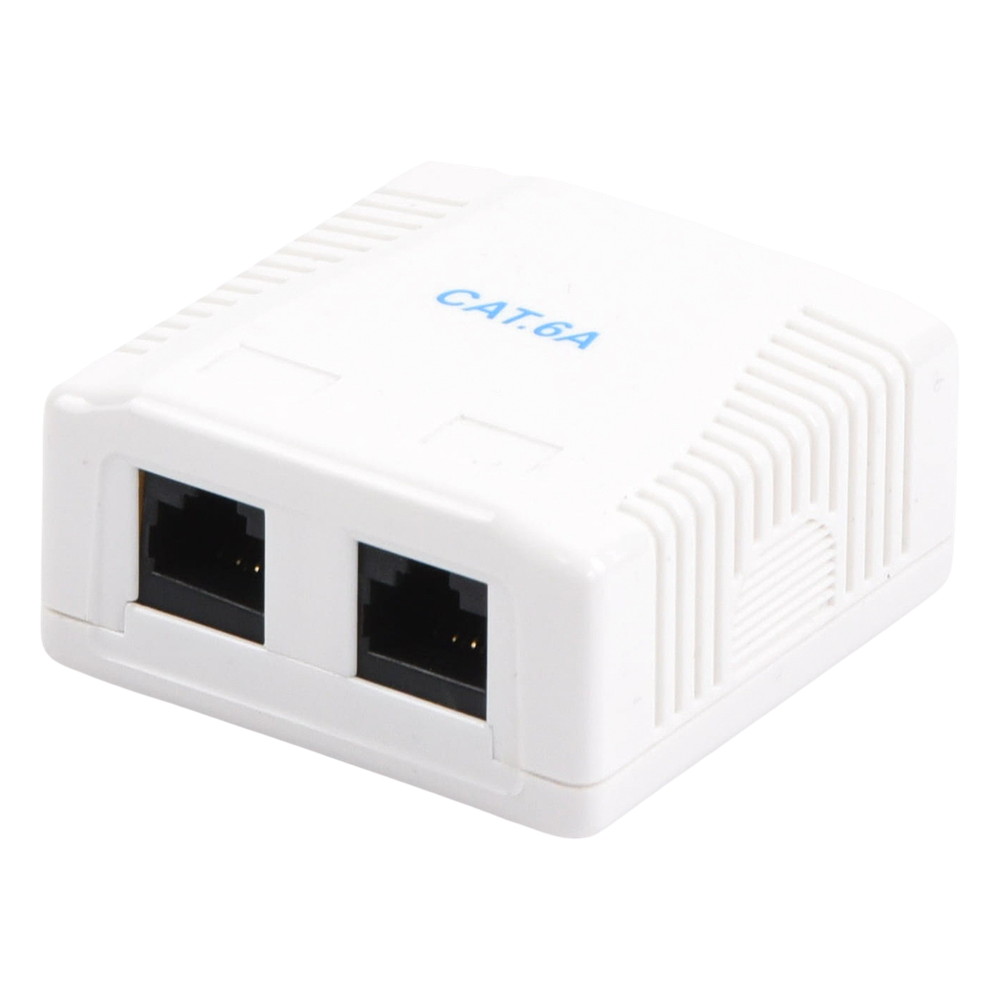 Caja de Pared con 2 Puertos, Incluye 2 Jacks UTP Cat6A