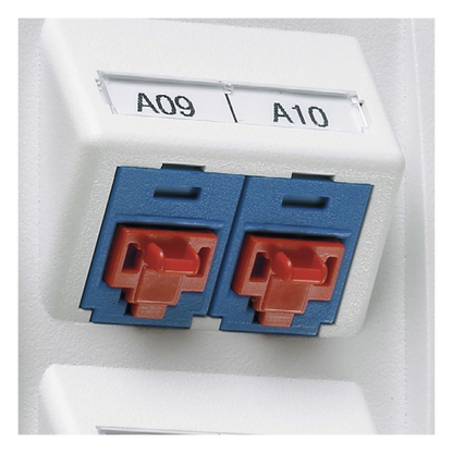 Kit de 10 Dispositivos para Bloquear Puertos Jack RJ45, Color Negro, Incluye Llave de Extracción