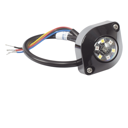 Estrobo Oculto de 6 LED, Rojo/Azul, Lente Transparente, Bisel Negro