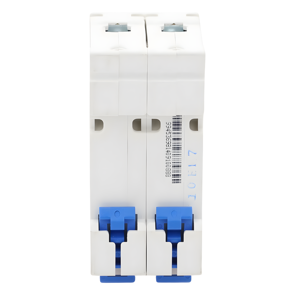 Pastilla para Riel Din, 2 Polos, 10 Amp, Vca:110/415v, 6kA, Catálogo: NXB632PC10.