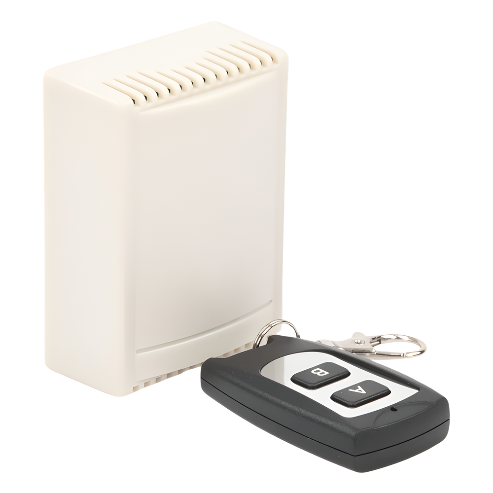 Receptor de 2 Canales con Control Remoto / Soporta 40 Transmisores