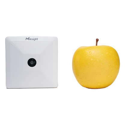 Sensor Inteligente de Presencia y Conteo de Personas LoRaWAN / Precisión 98% / Área hasta 126 m² / para Retail y Edificios Inteligentes
