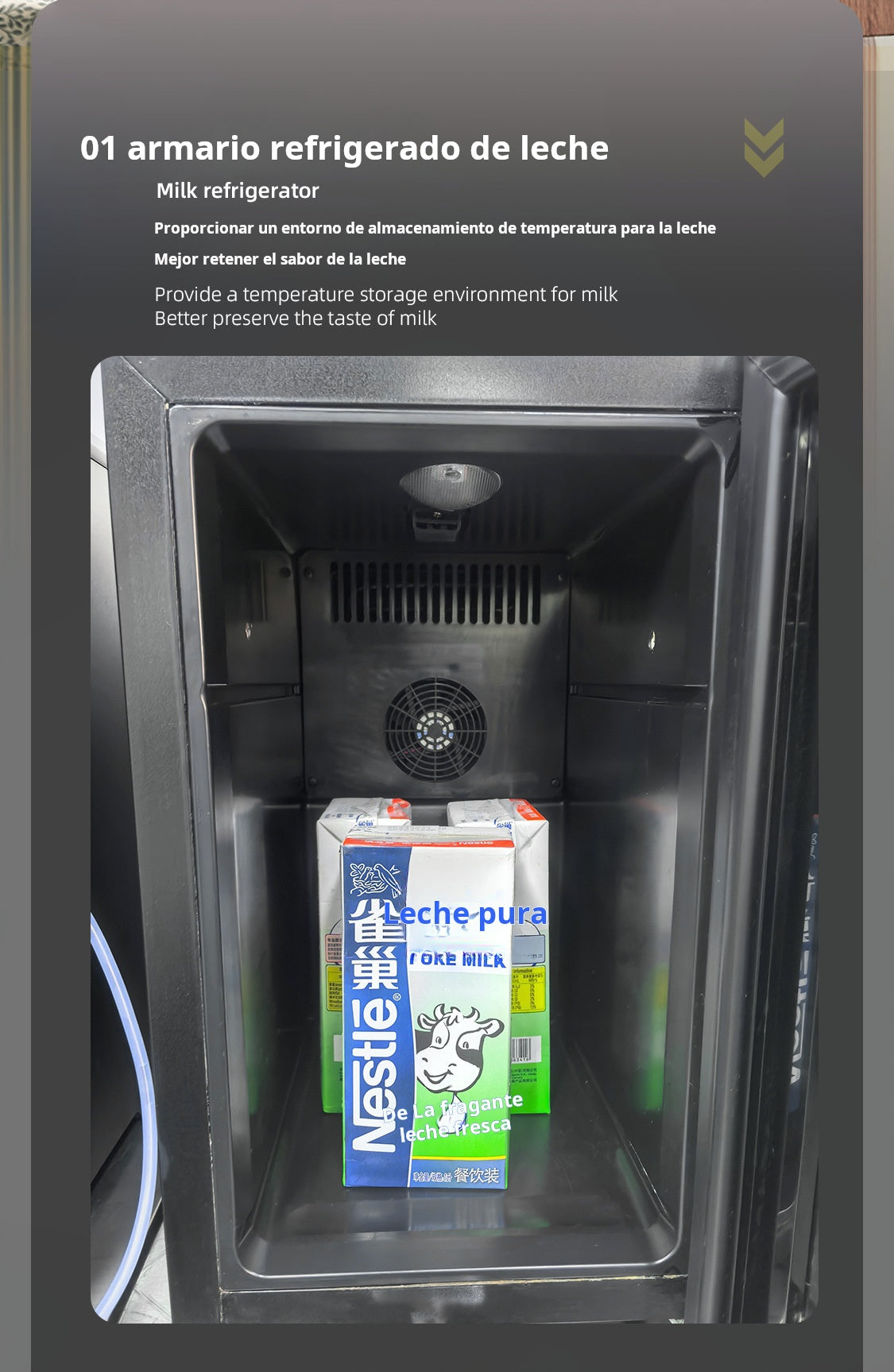 Refrigerador de leche para cafetera 16L a 23L, mini nevera profesional para máquinas de café