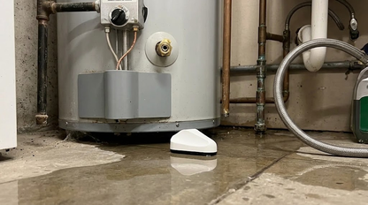 ALULA - Sensor de Inundación y Temperatura / Detecta Condiciones de Inundación y Reporta Temperaturas Extremas / Carcasa IP67 / Encriptado Connect+